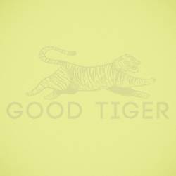 Good Tiger : A Head Full of Moonlight
